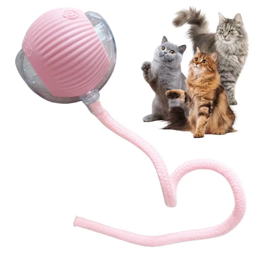 Automatic Rolling Ball Toy