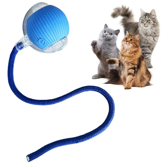 Automatic Rolling Ball Toy