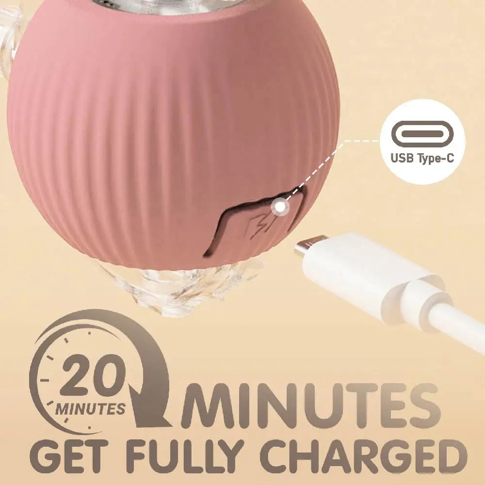 Automatic Rolling Ball Toy