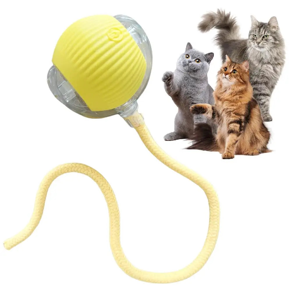 Automatic Rolling Ball Toy